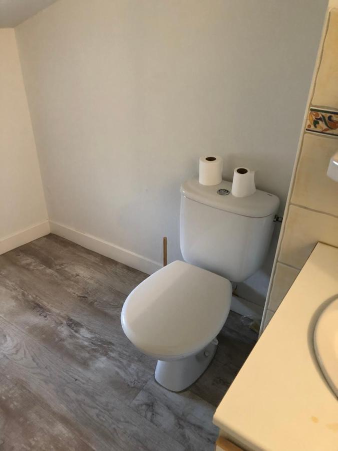 Appartement Cosy Et Lumineux Caussens المظهر الخارجي الصورة